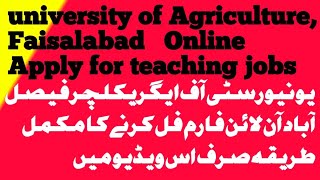 How to Apply Online for uni of Agriculture Faisalabad jobshow to fill form for faisalabad uni [upl. by Rennane]