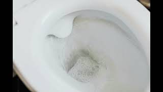 Urinating into Toilet Bowl Adult Male Tinkle Sound Effect [upl. by Atinod]