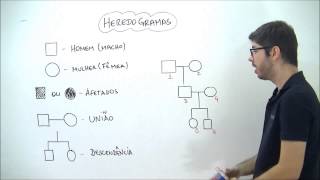 X da Questão Biologia Heredogramas Parte 1 [upl. by Parlin818]