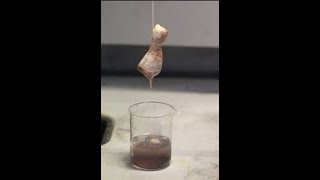 Chicken Vaporizing In Acid  Shocking Results shorts [upl. by Eidnyl]