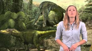 Dinosaur Myth Busted Cloning dinosaurs [upl. by Raynata]