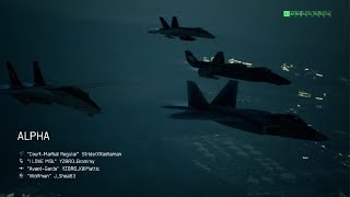 ACE COMBAT 7 Team Death Match F14A TGM [upl. by Bivins667]