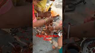 happy govardhan Pooja bhai dhuj festival vibe [upl. by Kaylil]