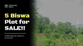 5 Biswa Non DriveIn Plot for SALE himachalpradesh plotforsale solan [upl. by Arutak]