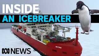 Ever been on board an icebreaker Inside RSV Nuyina  ABC News [upl. by Aital950]