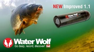 Water Wolf 11 Underwater HD Fishing Camera [upl. by Inimod]