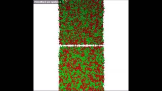 Phase Separation in Lipid Bilayers Nonideal Mixing in CG Molecular Dynamics [upl. by Meer206]