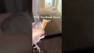 POV You Break Your Finger funny birds memes [upl. by Gavrah725]