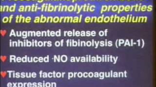 Vascular Biology of Venous Thrombosis [upl. by Carlotta]