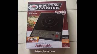 I PUT THIS KYOWA INDUCTION COOKER TO THE TEST REVIEW [upl. by Nnairam121]