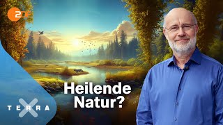 Harald Lesch  und die unterschätzte Klimachance  Terra X Harald Lesch Ganze TVFolge [upl. by Francene524]