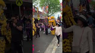 Cabramatta Moons Festival [upl. by Ellimaj122]