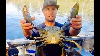 Boatcamping Spearfishing Crab Trapping Adventure [upl. by Carroll948]