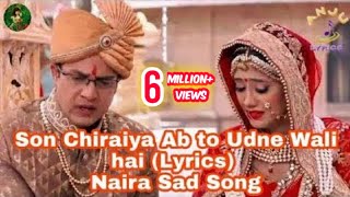 More Sonchiraiyaa  मोरे सोनचिरैयाँ  MONIKA amp VISHVAHAR OMESH  OMESH PROJECTS  CG SONG  2019 [upl. by Kubiak]