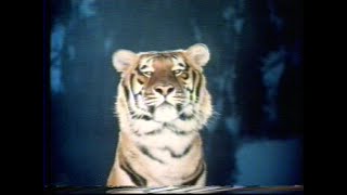 Esso Tiger Advert 1978 [upl. by Vassili]