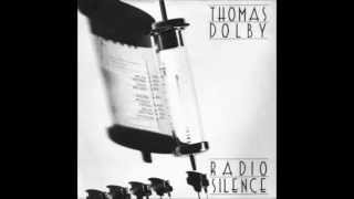 Thomas Dolby Radio Silence cover [upl. by Annoda]