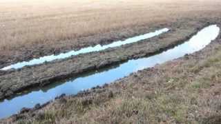 The importance of field drainage [upl. by Gazo]