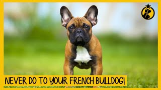 5 Things You Must Never Do to Your French Bulldog [upl. by Inattirb]