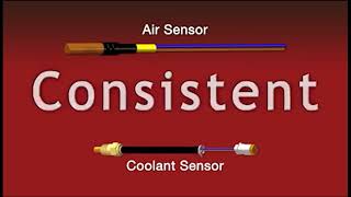 Temperature and Coolant Sensors [upl. by Omrelliug]