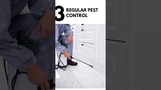 5 Anti termite solutions for your home  best treatment for antitermite [upl. by Holleran]