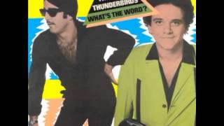 The Fabulous Thunderbirds  Extra Jimmies  Whats The Word  1980 [upl. by Ellecrag465]