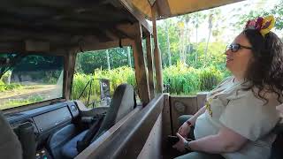 Kilimanjaro Safari 4k 2024 Ride Through at Animal Kingdom [upl. by Anitsim376]