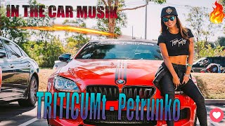 TRITICUM  Petrunko BASS BOOSTED 🔥 SONGS FOR CAR🔥 SLOWED [upl. by Anilatsyrc102]