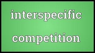 Interspecific competition Meaning [upl. by Hajile]