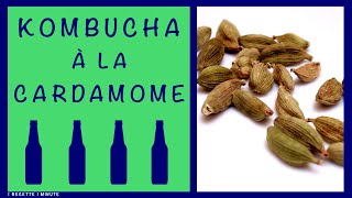 Kombucha à la Cardamome  Recette Maison Boisson Pétillante Rafraîchissante amp Santé [upl. by Akienom]