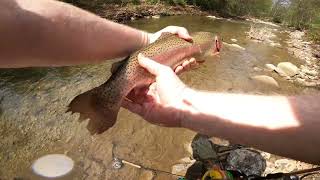 Allegheny County Fly Fishing Western Pa 2024 [upl. by Eceirahs]