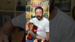 Sinônimo  Zé Ramalho cover musica mpbbrasil ramantic musicpop [upl. by Lorri]