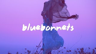 Austin George  Bluebonnets Lyrics [upl. by Eceer]