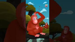 Asian Elephant Song Orangutan Bonobo Shorts ChuChuTV KidsSongs animalshorts endangeredanimals [upl. by Ahsuatan]