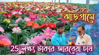 জারবেরা ফুলের চাষ । Gerbera Flower Farming In West Bengal  How To Gerbera Farming WB [upl. by Barvick830]