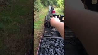 Driving a 5 inch guage steam locomotive around polegate oaks padmec [upl. by Elyn229]