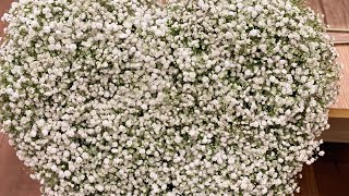 how to make gypsophila flower heart [upl. by Orfurd]