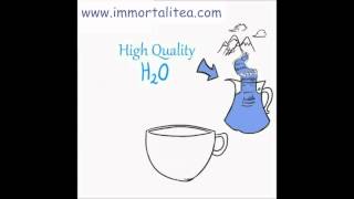 The Immortalitea Company Guide to Brewing Loose Leaf Jiaogulan Gynostemma Tea [upl. by Bartlet]