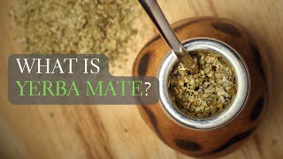 What is Yerba Mate Yerba Mate Facts and More [upl. by Corydon59]