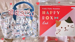 Japanese Lucky Bags 2020  SANRIO JAPAN amp HAPiNS  Kawaii Fukubukuro 2020  Rainbowholic [upl. by Yneffit]