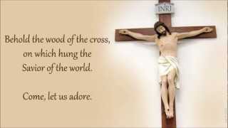 Behold the Wood of the Cross [upl. by Dinnie]