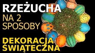 Świąteczna rzeżucha na 2 sposoby [upl. by Eilhsa]