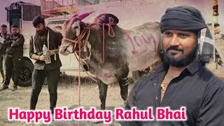 Happy Birthday Rahul Bhai  Mathur 1001 [upl. by Ameerahs]