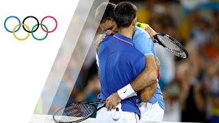 Del Potro ousts world no 1 Novak Djokovic [upl. by Nnairrehs]