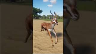 Thomsons Gazelle Running in Planet Zoo Shorts [upl. by Eduam]