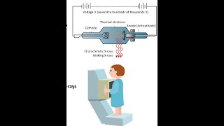 Lect no 98 nuclear medicine physics Image qualityFRCRF Physics English [upl. by Sikko]