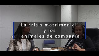 La crisis matrimonial y los animales de compañía [upl. by Enilarac]