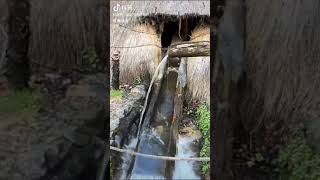 Waters journey fill flow repeat shorts trending viralvideo love funny cute nature [upl. by Nagaet796]