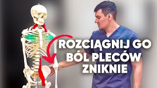 Rozciągnij ten mięsień i zapomnij o bólu pleców Nie czekaj zrób to teraz [upl. by Eixel]