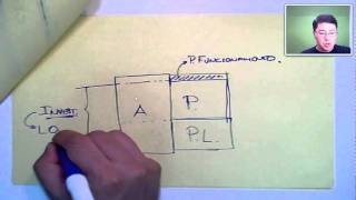 Balanço Patrimonial  Pra Financeiros [upl. by Nea]