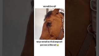 Ye bhi jiv hai itna to mat satao saveanimals dard bedlife verified disclaimer struggle short [upl. by Lotti]